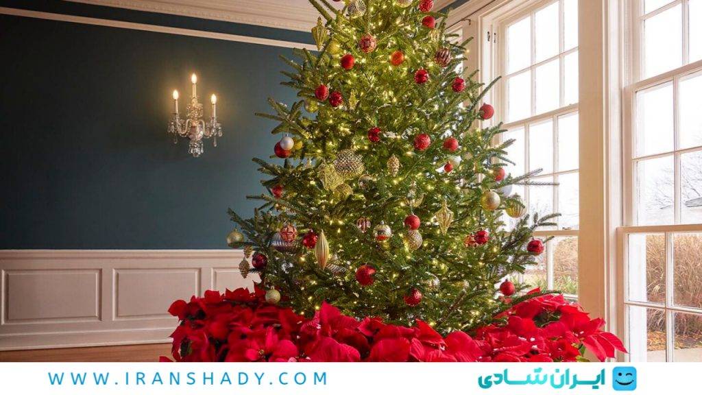 انواع درخت کریسمس برای خرید