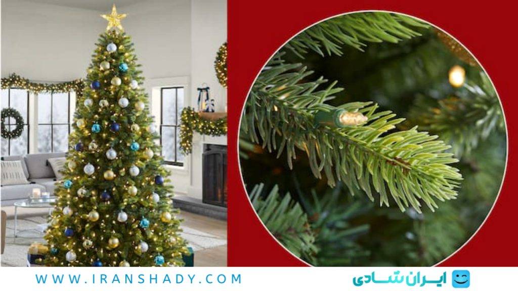 نقش فرم و تراکم شاخهها در خانههای کوچک